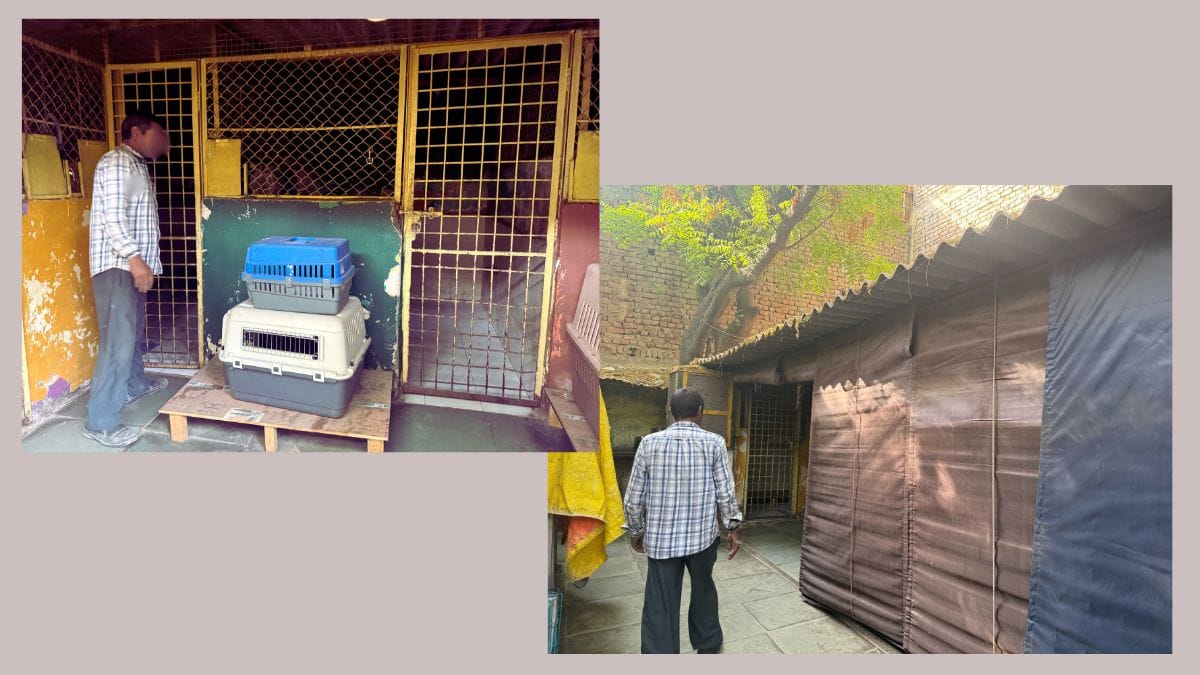 The pet facility next door to the ABC centre in Masoodpur. Both are PAWS facilities run by Dr. S.T. Sharma. | Mrinalini Dhyani | ThePrint