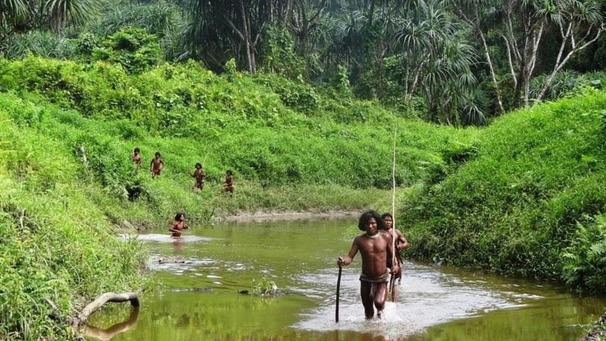 Global indigenous rights group says Indian govt’s Great Nicobar project ...
