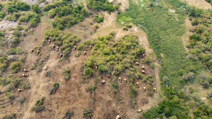 Forested land adjoining Hyderabad Central University cleared by bulldozers | By special arrangement