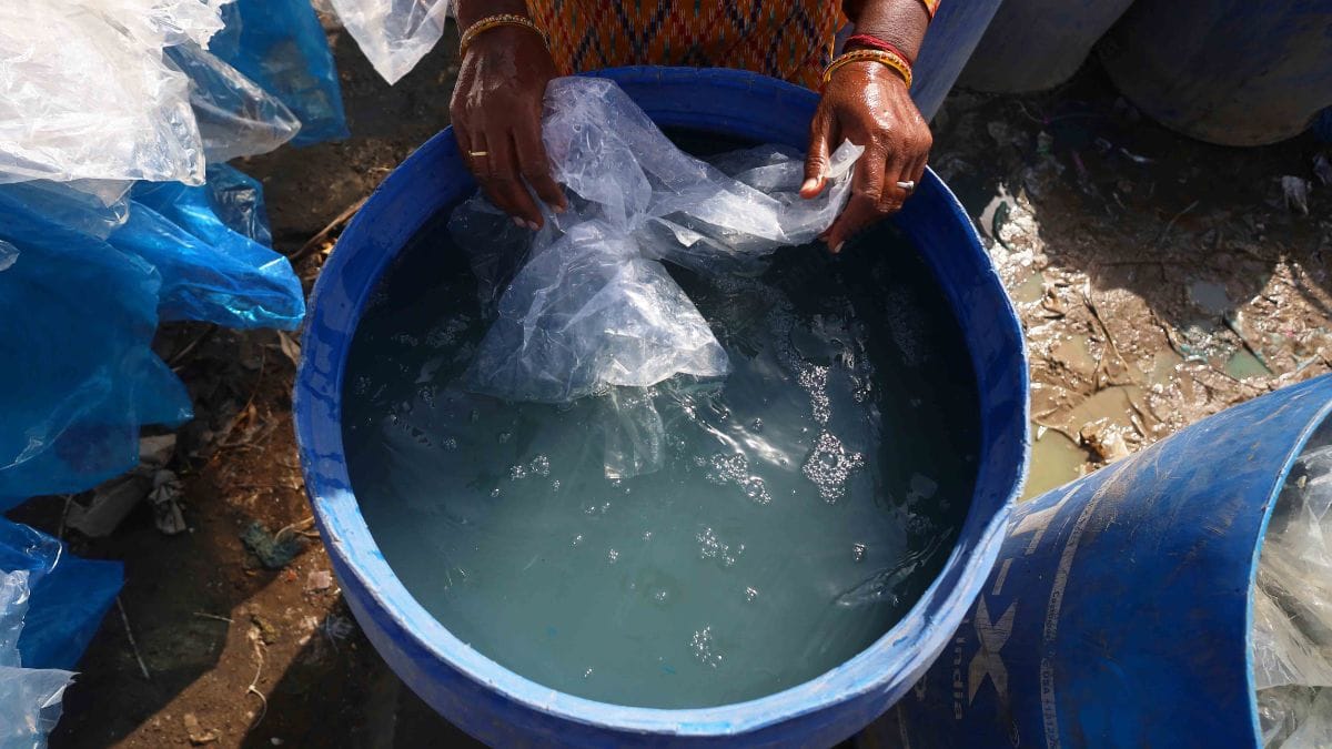 Plastic bags are scattered around the farm, while the contaminated water is dumped in the fields