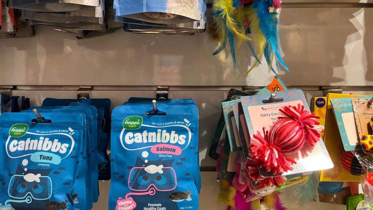 Toys and food for cats | Antara Baruah, ThePrint