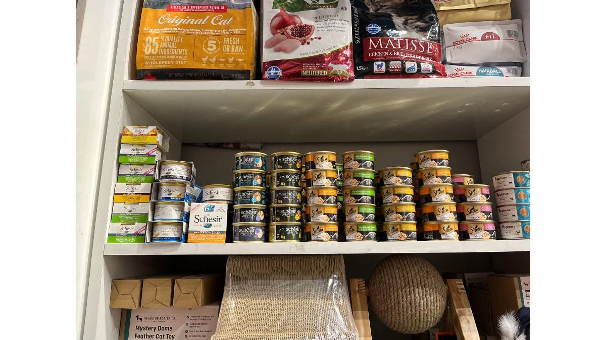 Food and toys for cats at Heads Up for Tails | Antara Baruah, ThePrint