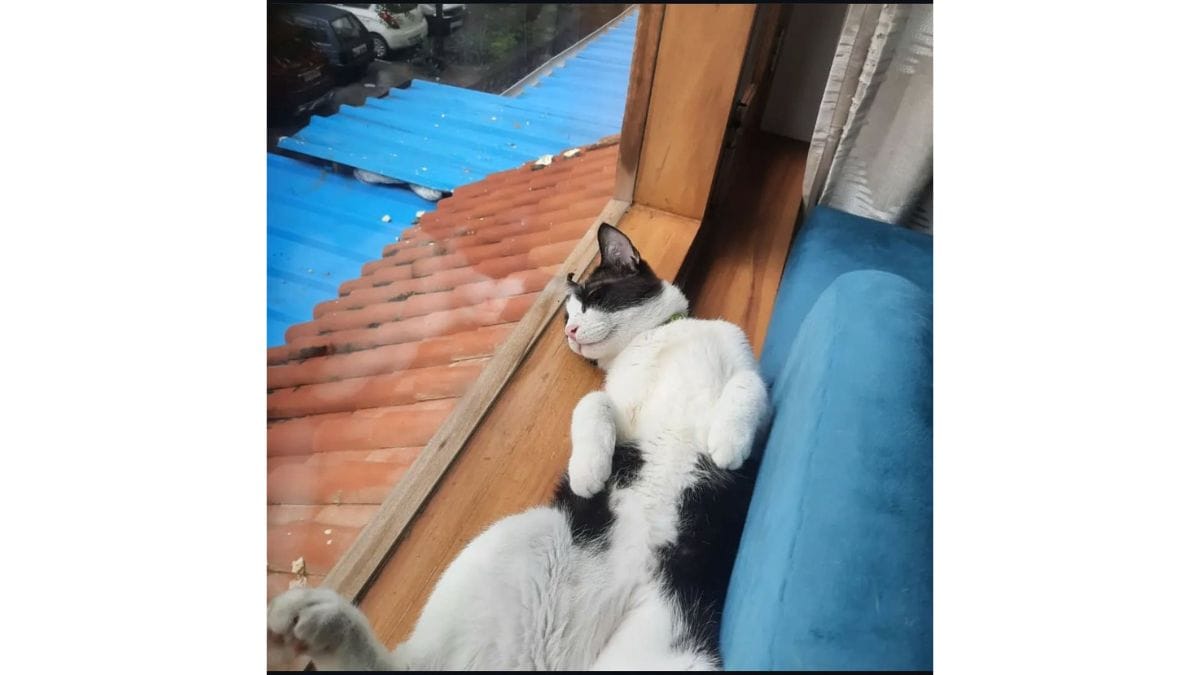 Jude admiring the great outdoors | Special arrangement 