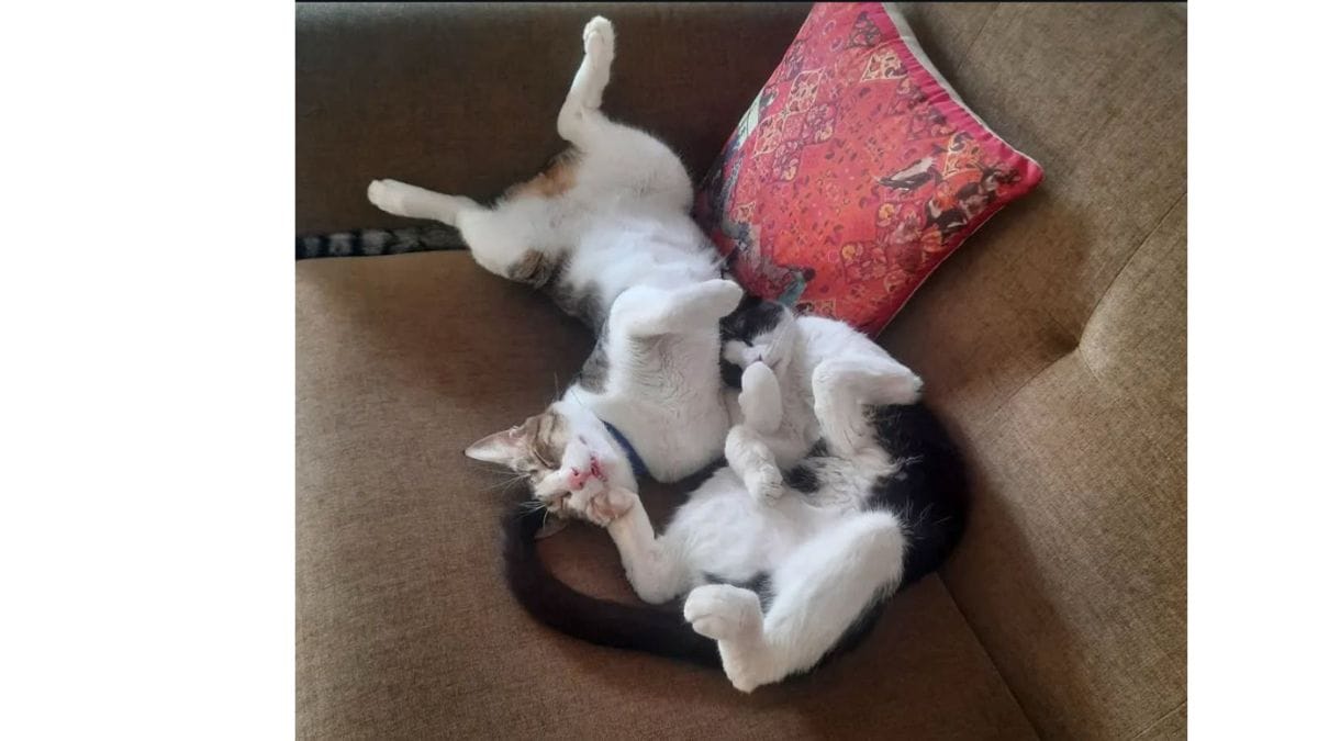 Jude and Bibigul, wrapped up in each other | Special Arrangement