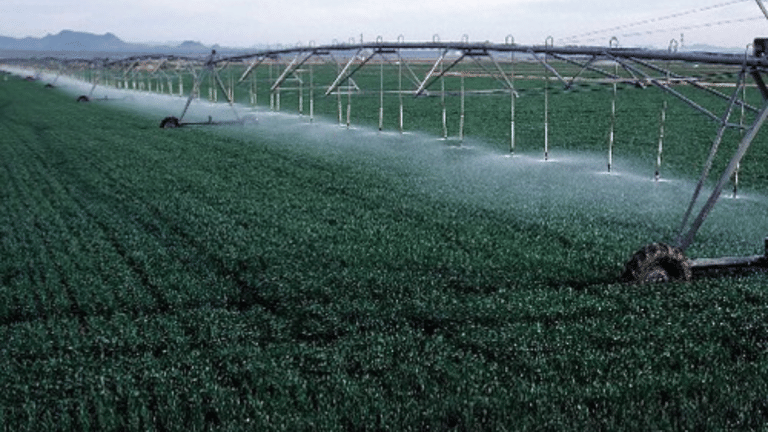 SubscriberWrites: Jai Jawan, Jai Kisan