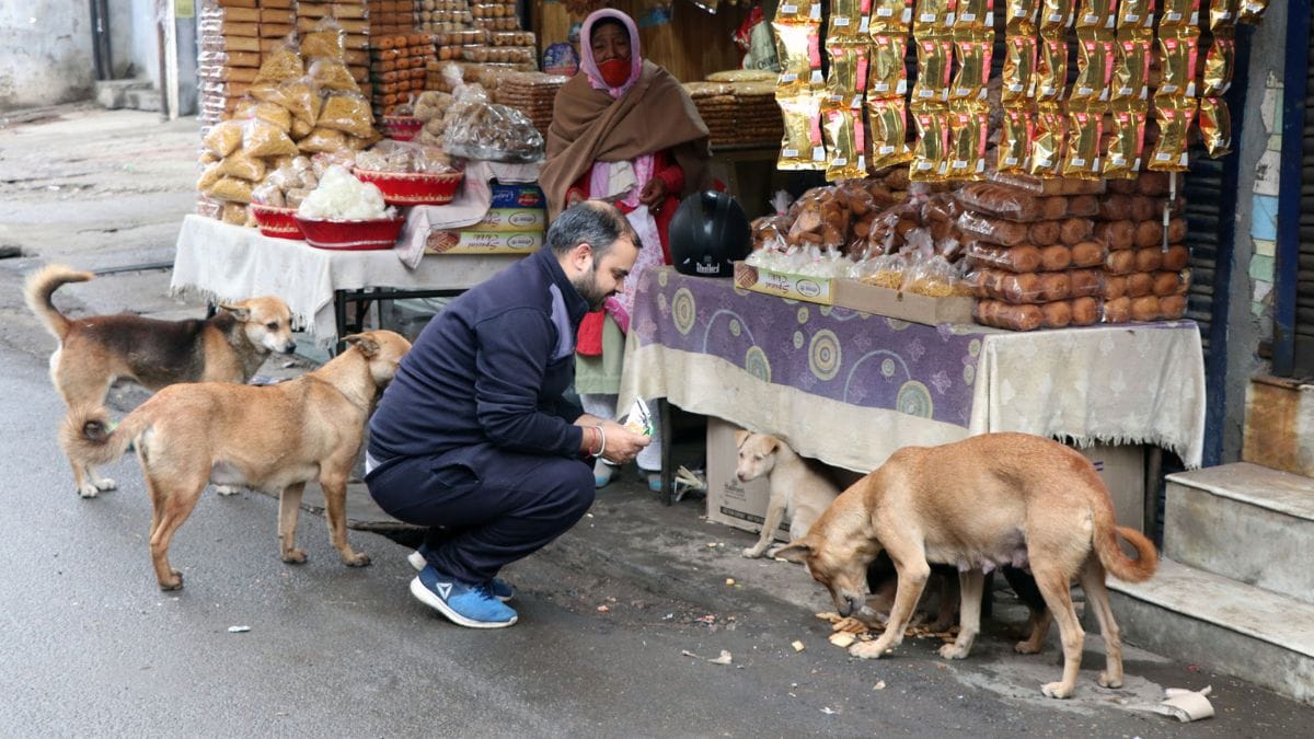 File photo of a man feeding stray dogs during the Covid-19 lockdown in J&K | ANI