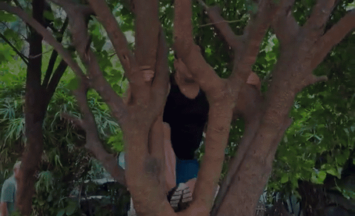 Salman Khan effortlessly climbs tree, shuts down trolls for questioning his fitness