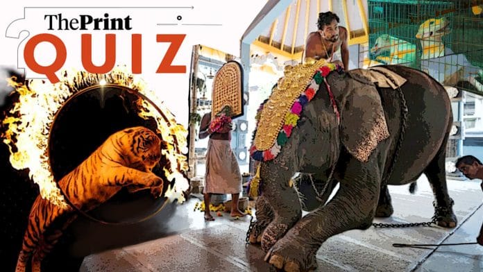 Illustration: Manali Ghosh | ThePrint