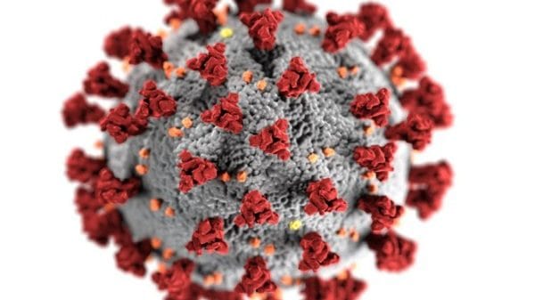 China blames US for origin of COVID-19 after Trump's allegation