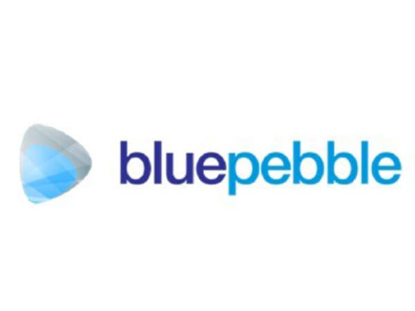 Blue Pebble Ltd Doubles Revenue in FY25; Diversifies into High-Growth Verticals