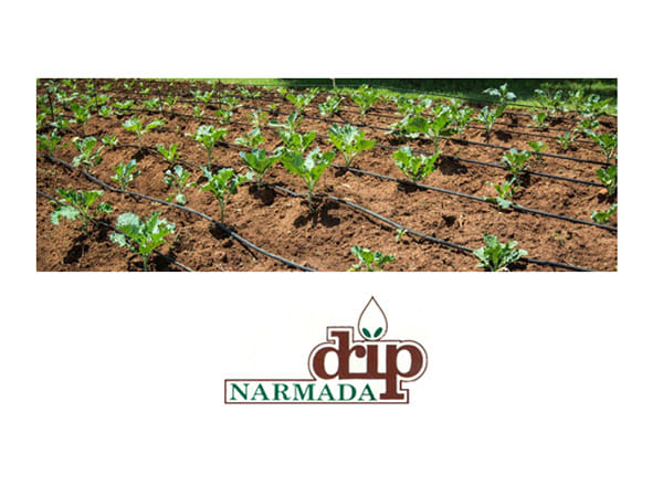 Narmada Macplast Reports Rs539.17 Lakhs Profit for FY25; Declares Rs0.10 Interim Dividend - A Year of Strong Financial Performance & Stakeholder Value Creation!