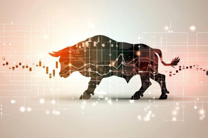 A Beginner's Guide to Investing in IPOs in India