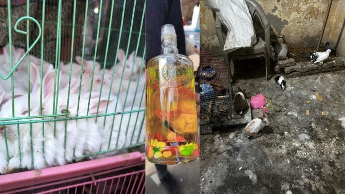 ALC members inspected pet shops across Delhi | By special arrangement