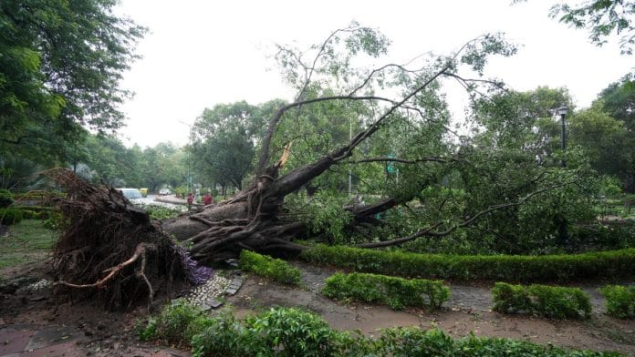 Trees uprooted after strong winds and rainfall, in New Delhi, Sunday | PTI Photo/Kamal Singh