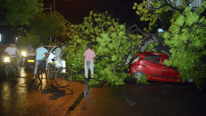 A tree falls on a car following a windstorm near Nizamuddin police station, in New Delhi on Wednesday, 21 May 2025. | ANI