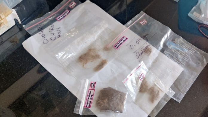 Wool samples sent from as far as Berlin, to be tested at CCMB Hyderabad