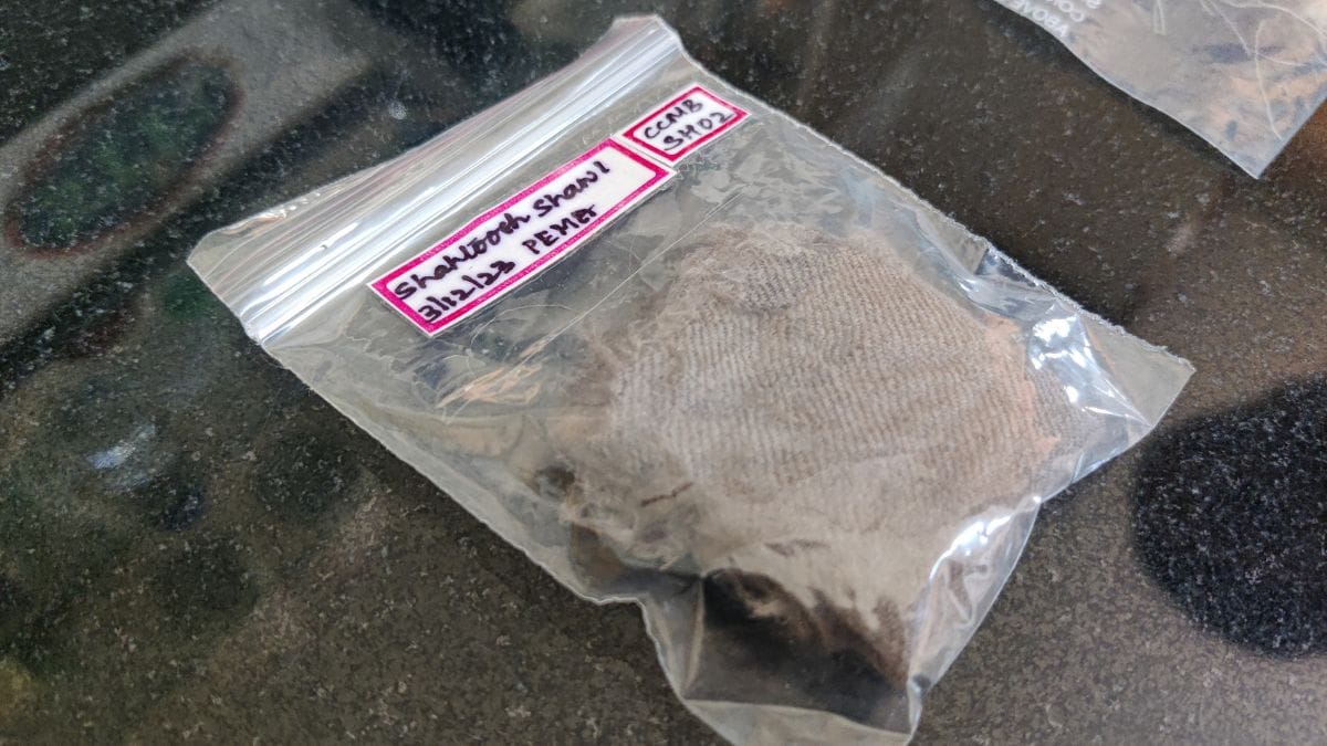 A sample of shahtoosh wool collected by Vausdevan's lab for testing and standardisation