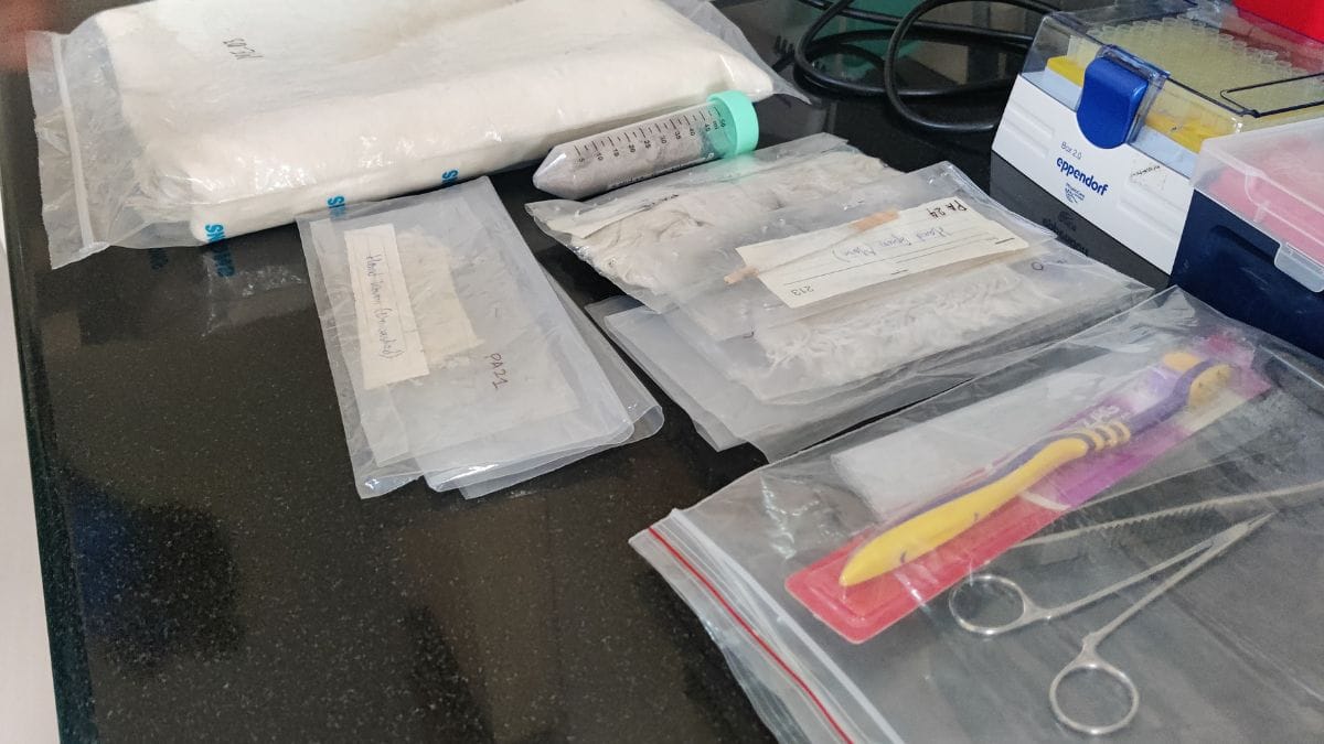 Samples of shahtoosh and pashmina wool at Vasudevan's lab