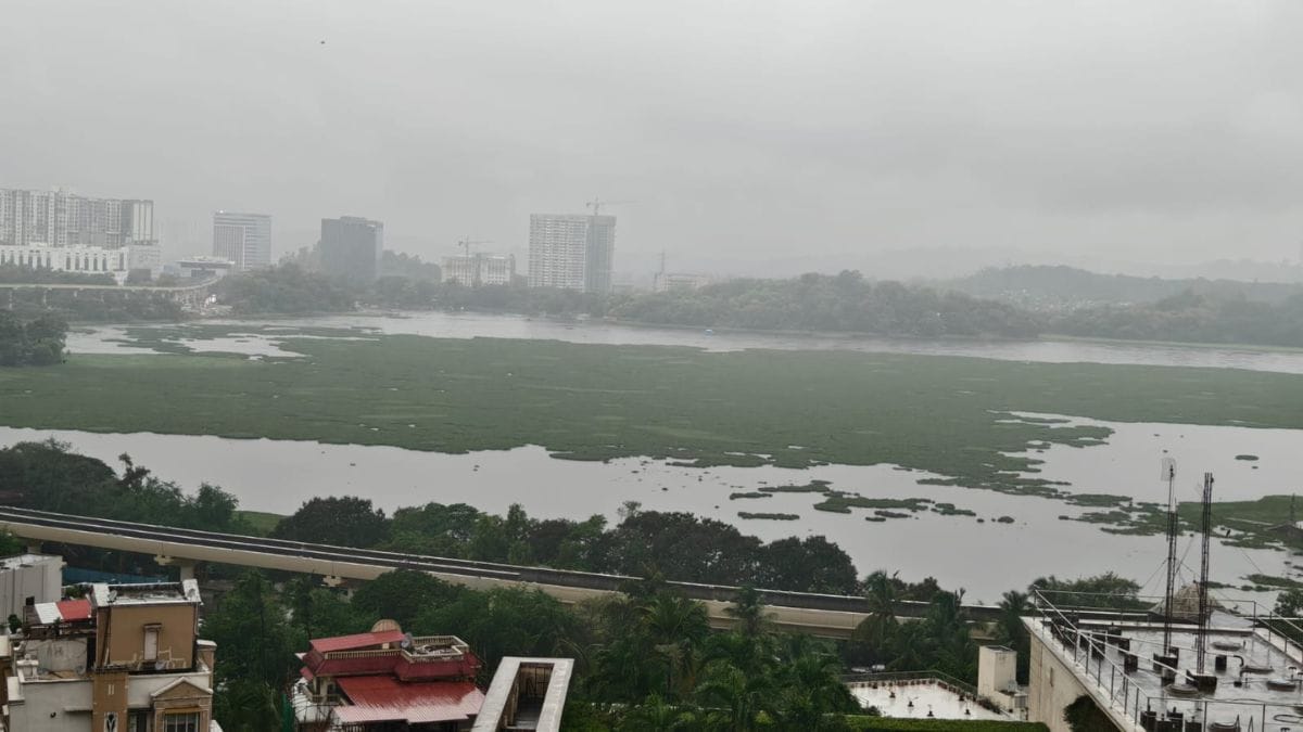 A view of Powai lake. | Save Powai Lake forum