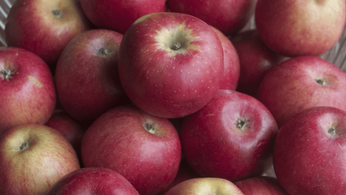 An apple variety grown in Niğde Province, Turkey | Representational image | Wikimedia Commons