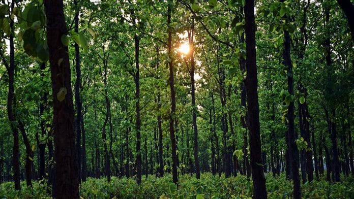 Image for Representation | Commons