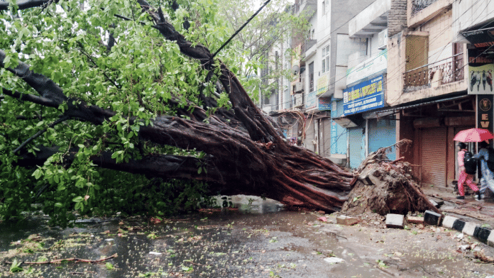 Flight operations at Delhi airport were affected and over a dozen trees got uprooted due to the rain and gusty winds. The photo shows a street in Najafgarh. | ANI