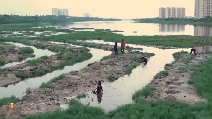 Local communities helping with plantation drive | By special arrangement