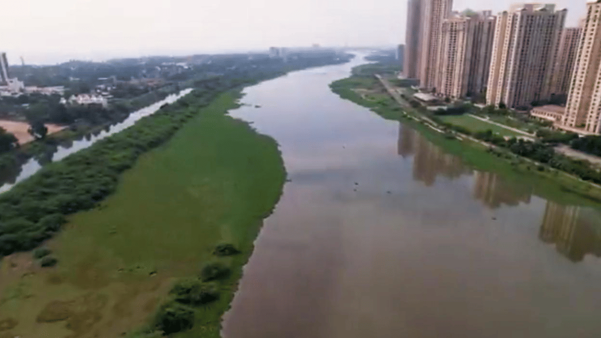 Buckingham canal was once navigational route linking Pedda Ganjam to Marakkanam | By special arrangement 