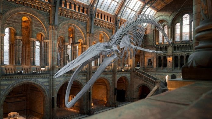 Representational image | Pixabay