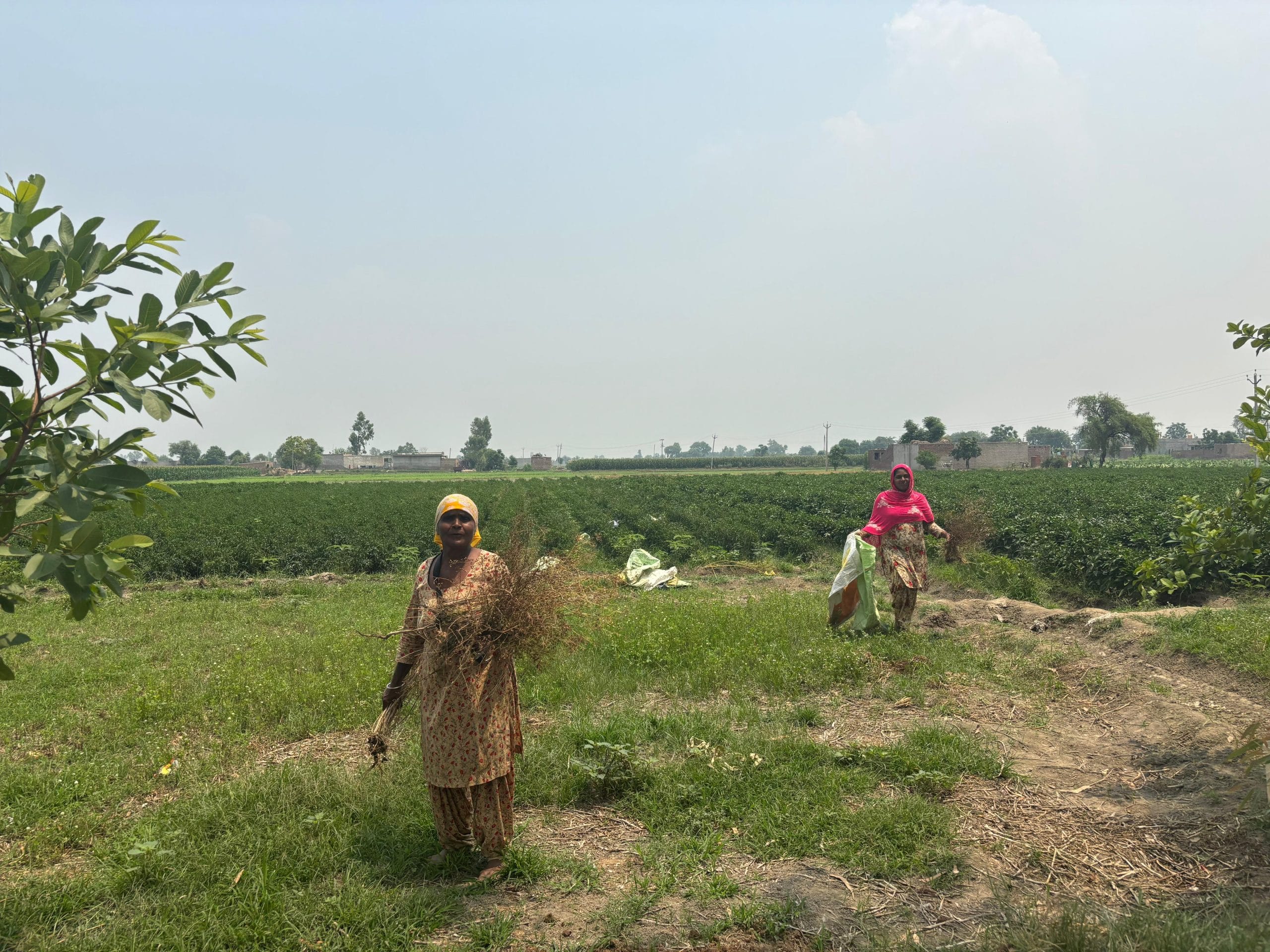 Durga Bai from Baheke village | Bismee Taskin | ThePrint