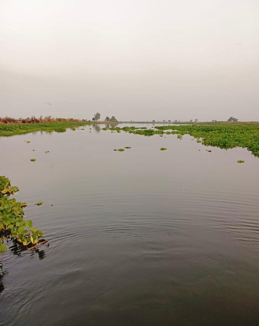 Sutlej River | Bismee Taskin | ThePrint
