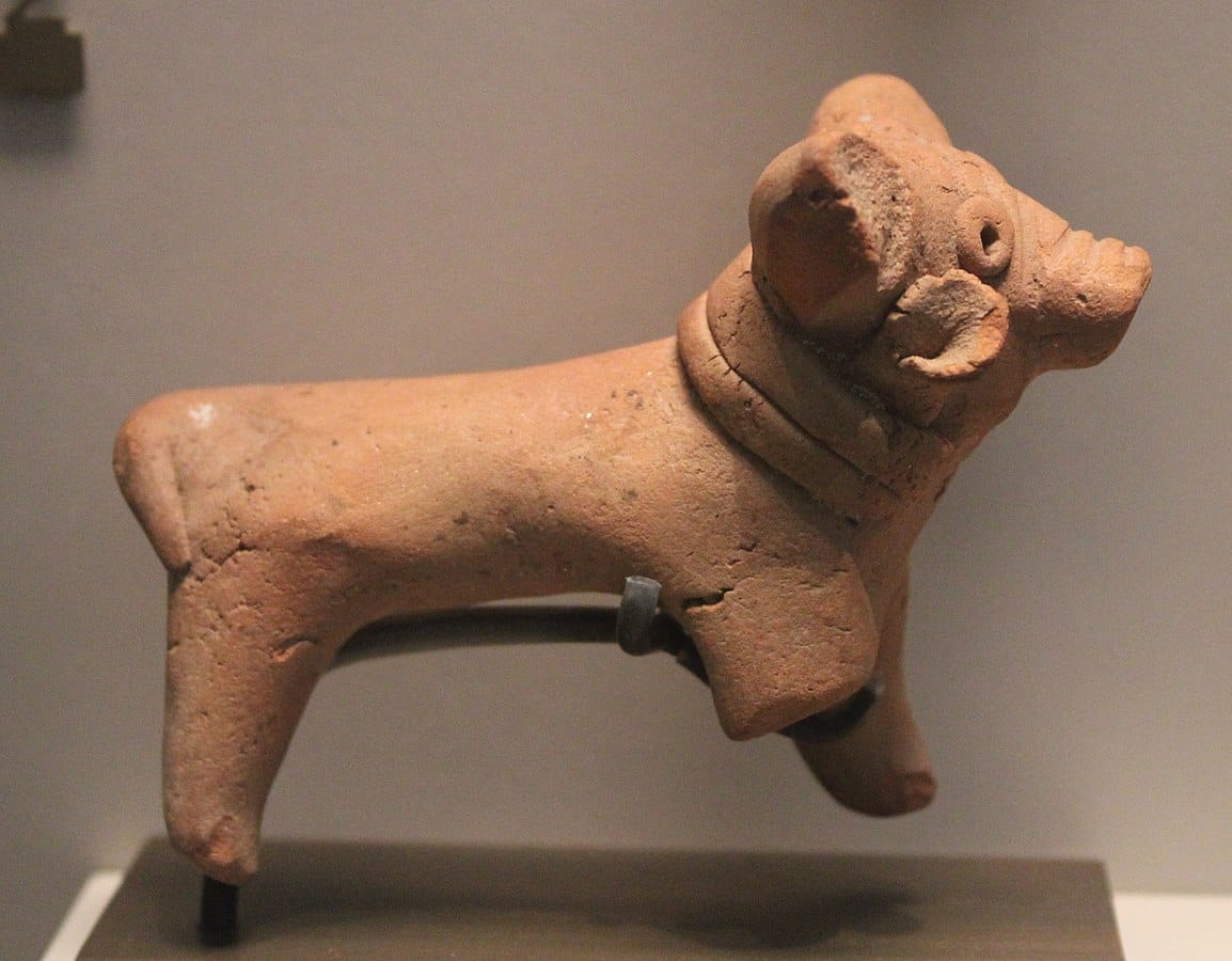 A Harappan dog, possibly a hound, with a collar and a straight tail | Photo: Wikimedia Commons