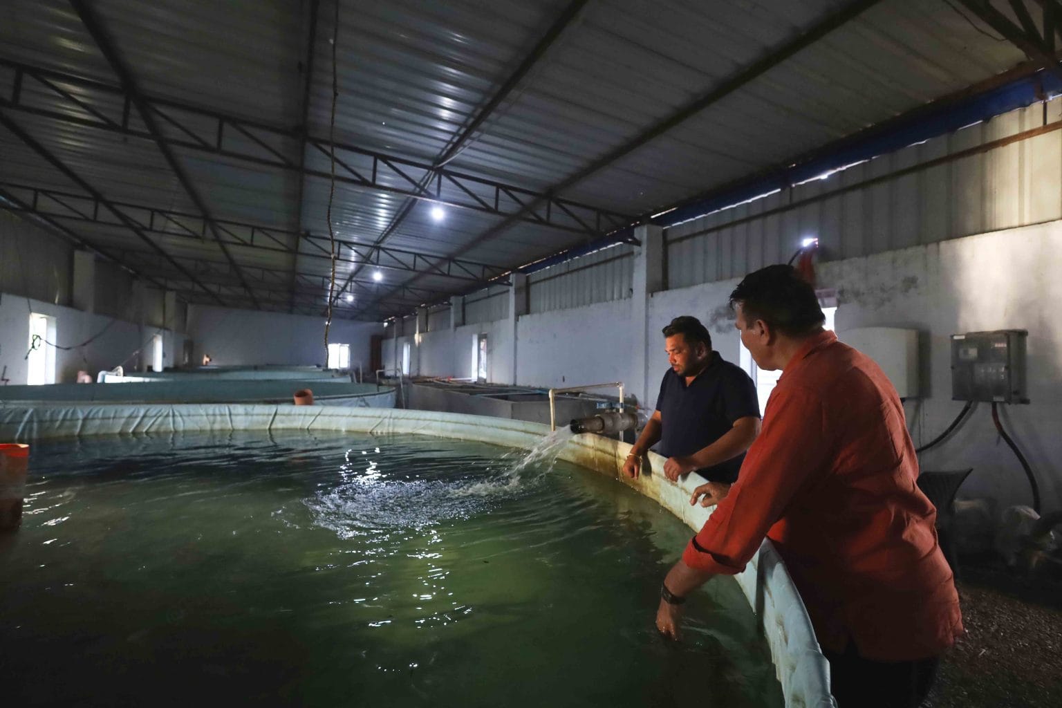 Vegetarian Haryana is leading fish revolution—Katla, Rohu, Shrimp