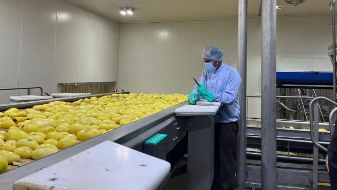 Gujarat potato processing plant