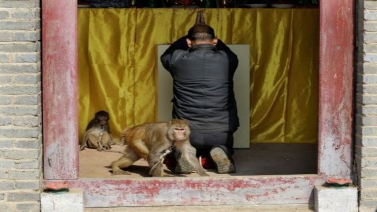 SubscriberWrites: The eccentricity of speculative theology & religion