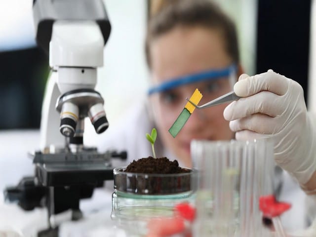 Medical Biotechnology in the Age of Personalised Medicine: Preparing Scientists for the Future of Healthcare