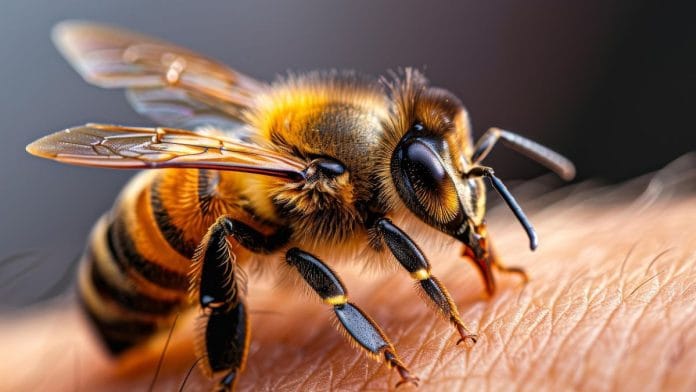 Representational image | Pixabay