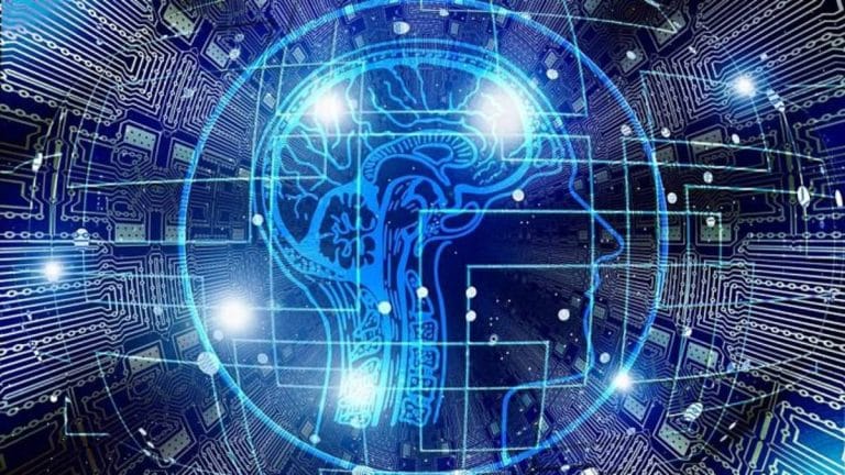 Learning multiple languages can slow brain ageing, says new study