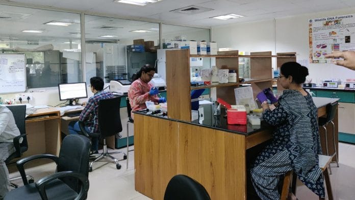 wildlife DNA forensics