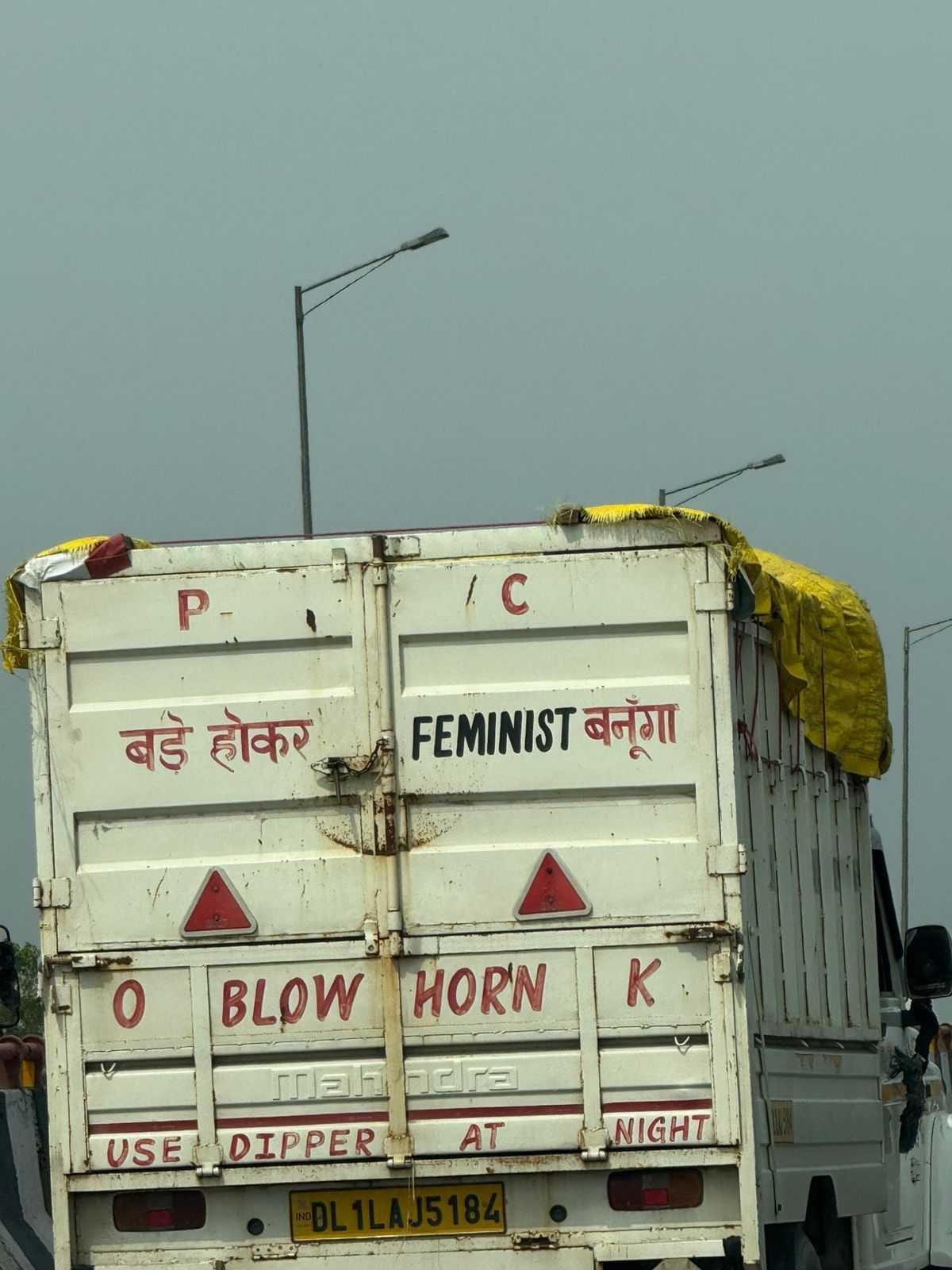 Feminist messaging behind trucks | Shubhangi Misra, ThePrint