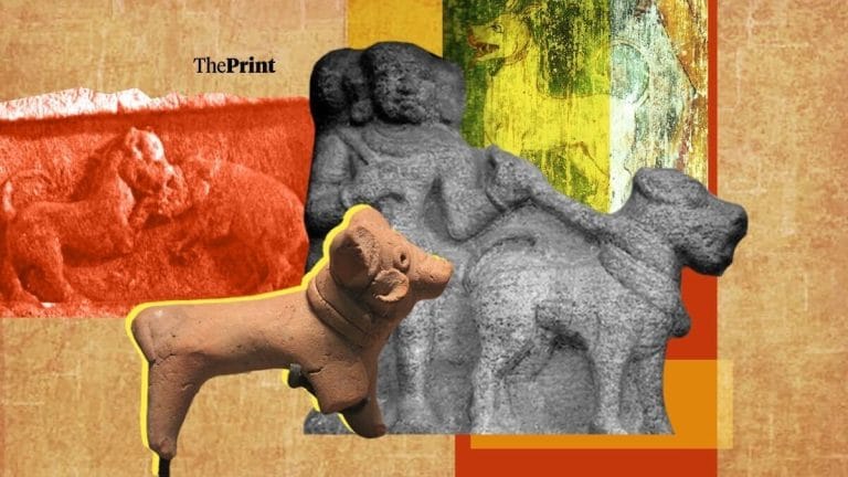 Dogs were adored in medieval India. They saved cows from asuras, fought boars & tigers