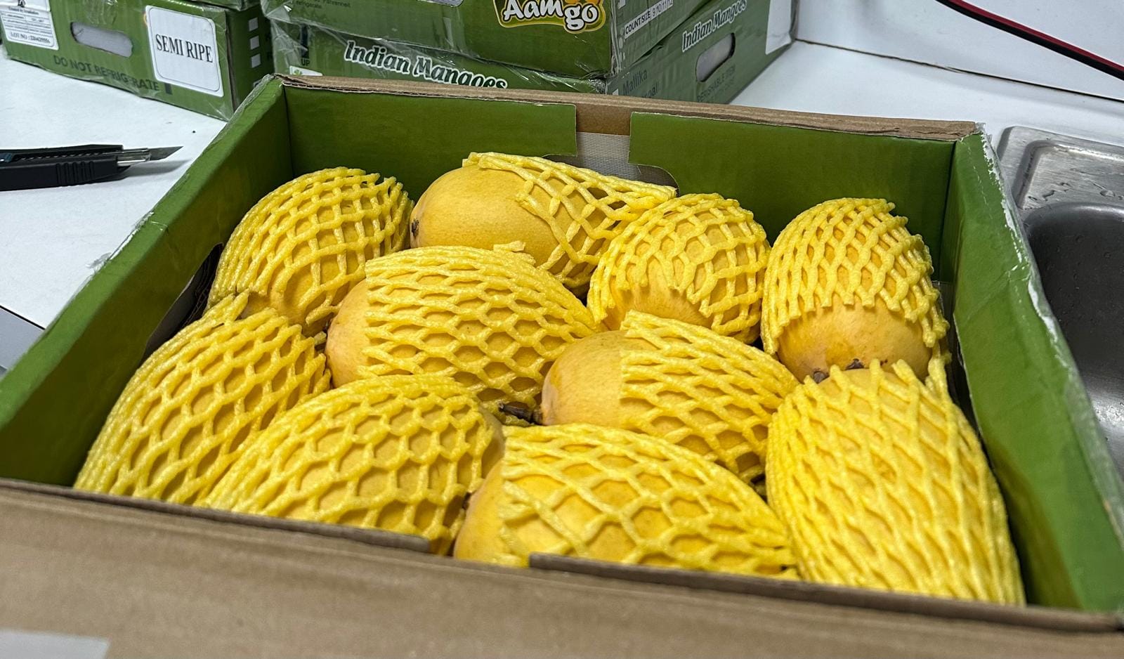 Kesar mango, known for its distinct colour, aroma, and rich, sweet flavour