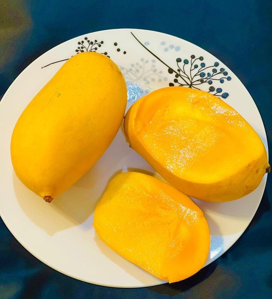 Mallika, a hybrid of Neelum and Dasheri