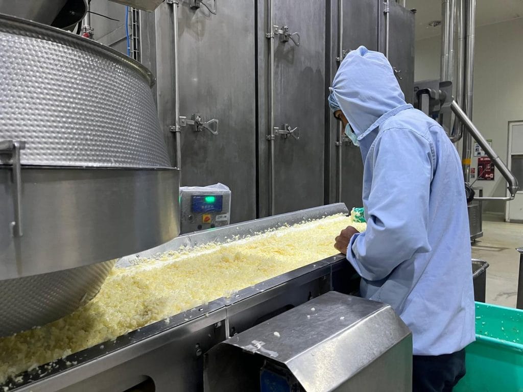 Frozen potato products being made at a processing factory 