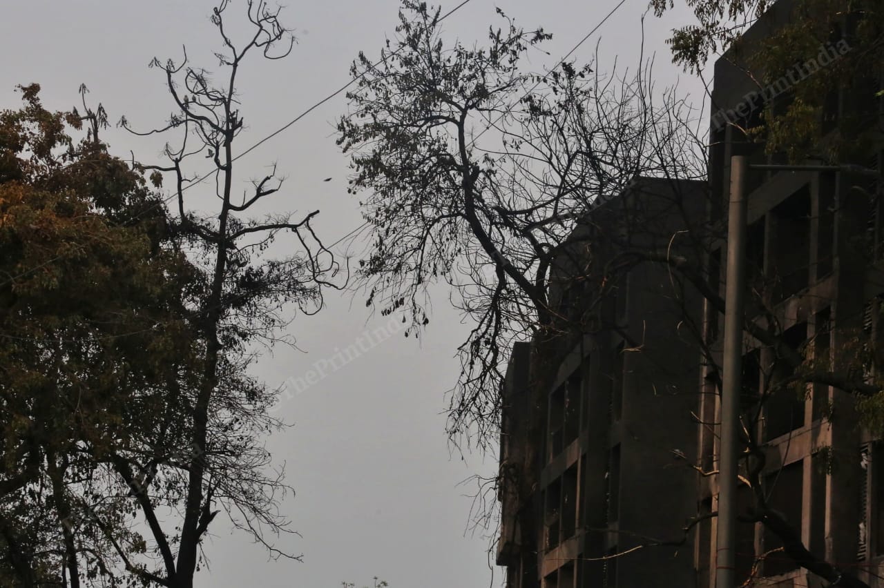 The trees and buildings burnt in the fire caused by the plane crash | Praveen Jain | ThePrint