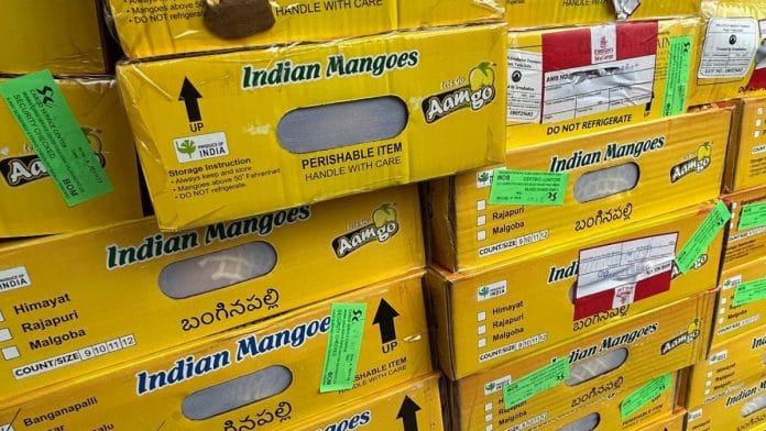 For distributors in the US who import Indian mangoes, it’s a race against time. They have 48 hours to sell the fruit before it rots