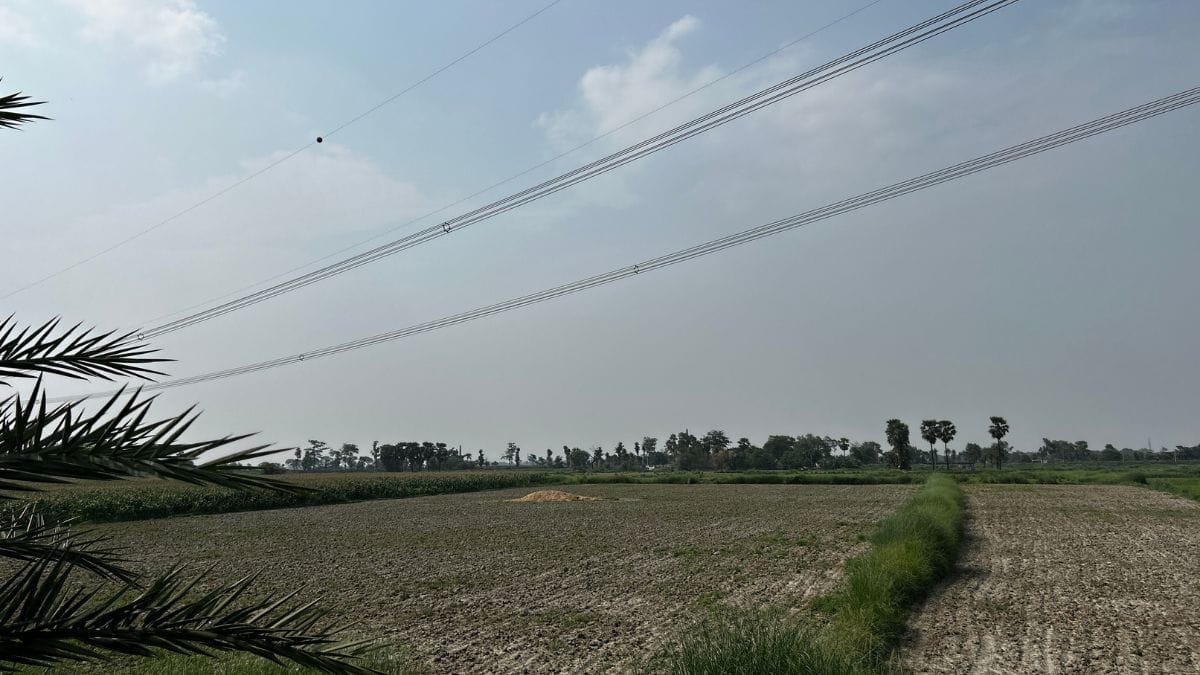 The fields from which the ten-year-old crawled to reach the road | Jyoti Yadav, ThePrint