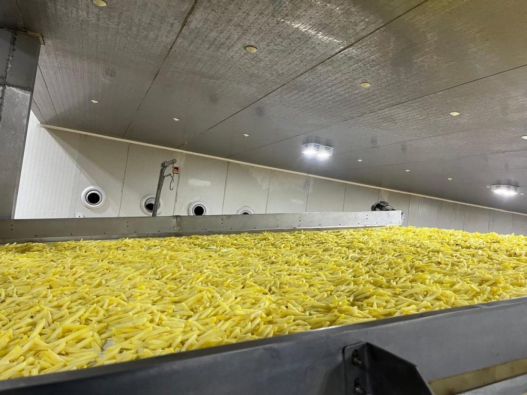 Frozen french fries being made at a potato processing factory in Mehsana 