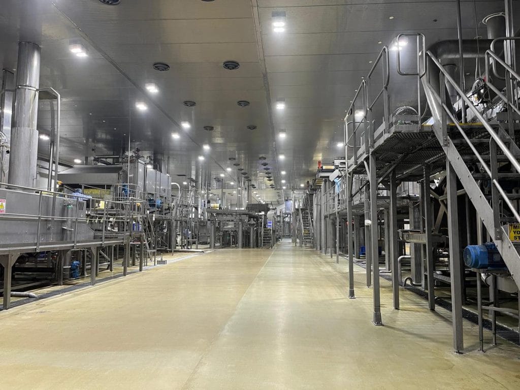 Potato processing in india 