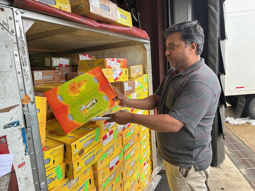 Gola unloads 360 boxes of mangoes, each weighing about 3.5 kg